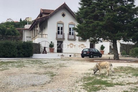 Farm i Ervedosa do Douro, Viseu, Ervedosa do Douro - € 850.000 | Ref: ZMPT559352 - foto 12