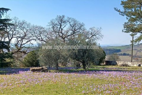 Villa a Paciano, Perugia, Paciano - € 570.000 | Ref: VL245 - foto 3