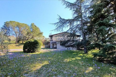 Villa a Paciano, Perugia, Paciano - € 570.000 | Ref: VL245 - foto 4