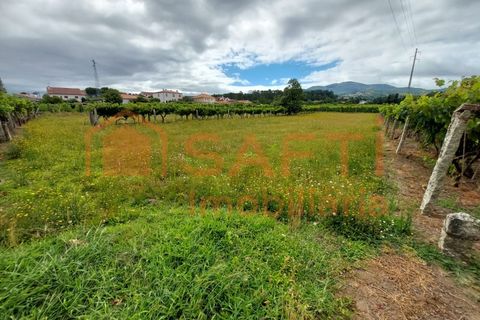 Helårsgrund i Moncao, Viana do Castelo, Moncao - € 90.000 | Ref: SAFTI:003656 - foto 2