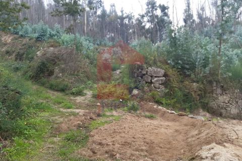 Helårsgrund i Vila Verde, Braga, Vila Verde - € 19.500 | Ref: 08111 - foto 1