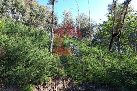 Helårsgrund i Vila Verde, Braga, Vila Verde - € 19.500 | Ref: 08111 - foto 2