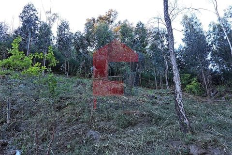 Helårsgrund i Vila Verde, Braga, Vila Verde - € 19.500 | Ref: 08111 - foto 3