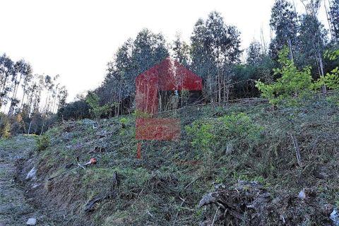Helårsgrund i Vila Verde, Braga, Vila Verde - € 19.500 | Ref: 08111 - foto 4