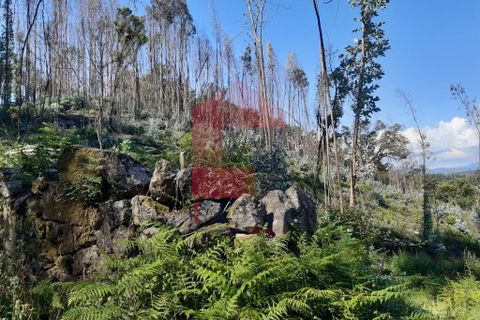 Helårsgrund i Vila Verde, Braga, Vila Verde - € 19.500 | Ref: 08111 - foto 6