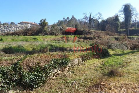 Helårsgrund i Barcelos, Braga, Barcelos - € 65.000 | Ref: TER_10 - foto 2