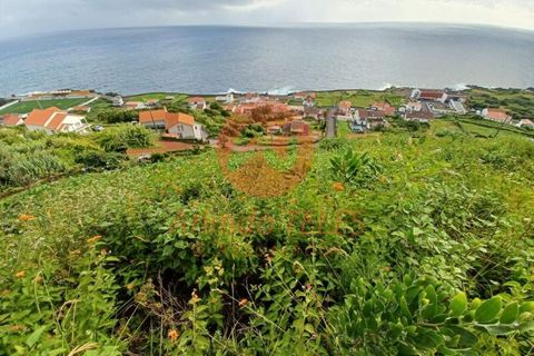 Terra a Calheta, Sao Jorge, Calheta - € 25.000 | Ref: T838 - foto 3