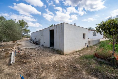 Landejendom i Tortosa, Tarragona, Tortosa - € 290.000 | Ref: 913 - foto 29
