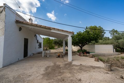 Landejendom i Tortosa, Tarragona, Tortosa - € 290.000 | Ref: 913 - foto 4
