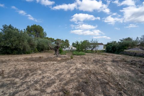 Landejendom i Tortosa, Tarragona, Tortosa - € 290.000 | Ref: 913 - foto 41