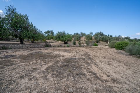 Landejendom i Tortosa, Tarragona, Tortosa - € 290.000 | Ref: 913 - foto 42