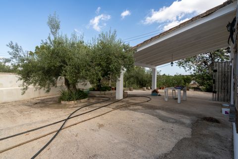 Landejendom i Tortosa, Tarragona, Tortosa - € 290.000 | Ref: 913 - foto 5