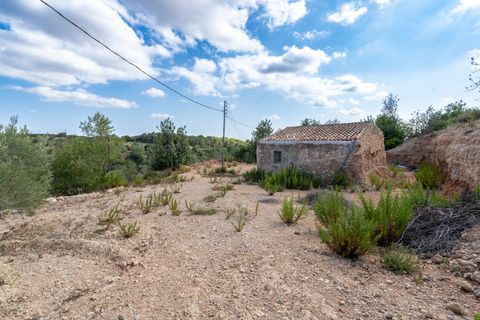 Landejendom i Tortosa, Tarragona, Tortosa - € 290.000 | Ref: 913 - foto 40