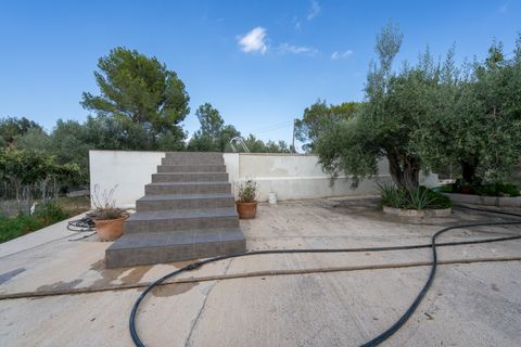 Landejendom i Tortosa, Tarragona, Tortosa - € 290.000 | Ref: 913 - foto 28