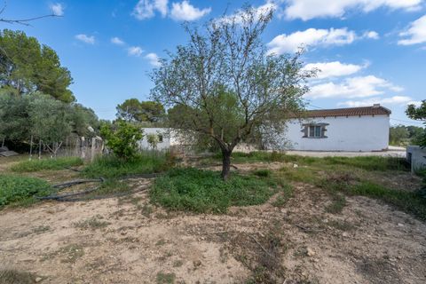Landejendom i Tortosa, Tarragona, Tortosa - € 290.000 | Ref: 913 - foto 32