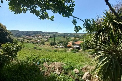 Villa a Bico e Cristelo, Viana do Castelo, Bico e Cristelo - € 70.000 | Ref: MDS3870 - foto 6