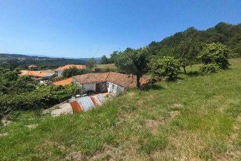 Villa a Bico e Cristelo, Viana do Castelo, Bico e Cristelo - € 70.000 | Ref: MDS3870 - foto 10