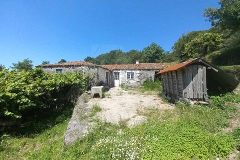 Villa a Bico e Cristelo, Viana do Castelo, Bico e Cristelo - € 70.000 | Ref: MDS3870 - foto 12