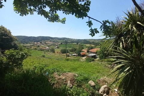 Villa a Bico e Cristelo, Viana do Castelo, Bico e Cristelo - € 70.000 | Ref: MDS3870 - foto 15