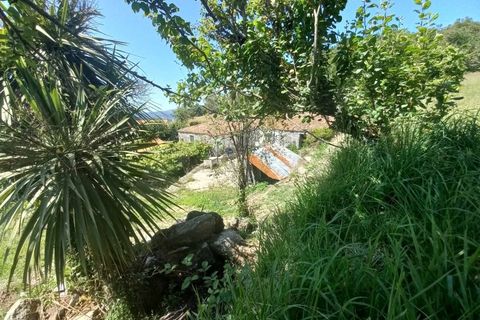 Villa a Bico e Cristelo, Viana do Castelo, Bico e Cristelo - € 70.000 | Ref: MDS3870 - foto 16