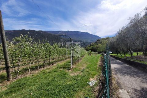Landejendom i Dro, Trento, Dro - € 199.000 | Ref: 50 - foto 14