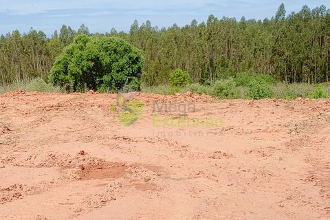 Helårsgrund i Cadaval, Lisbon, Cadaval - € 58.000 | Ref: 1583 - foto 8