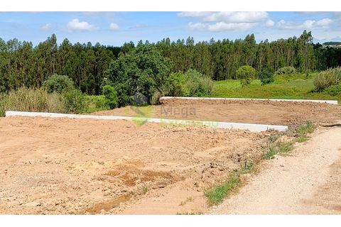 Helårsgrund i Cadaval, Lisbon, Cadaval - € 58.000 | Ref: 1583 - foto 12