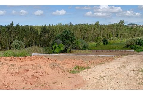 Helårsgrund i Cadaval, Lisbon, Cadaval - € 58.000 | Ref: 1583 - foto 15