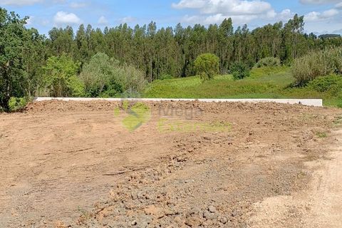 Helårsgrund i Cadaval, Lisbon, Cadaval - € 58.000 | Ref: 1583 - foto 16