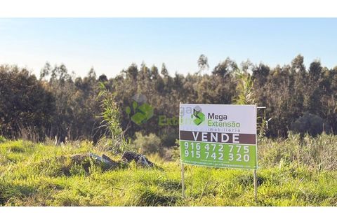 Helårsgrund i Cadaval, Lisbon, Cadaval - € 58.000 | Ref: 1583 - foto 4