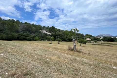Grond in Pollenca, Mallorca, Pollenca - € 2.000.000 | Ref: 77161 - foto 2