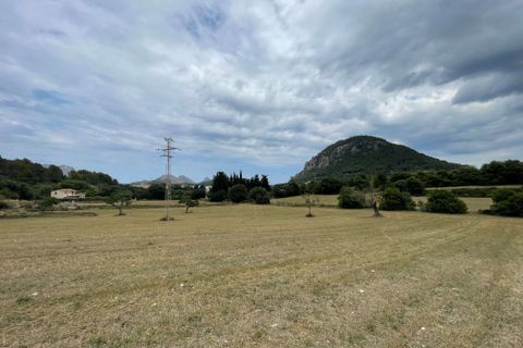 Grond in Pollenca, Mallorca, Pollenca - € 2.000.000 | Ref: 77161 - foto 3