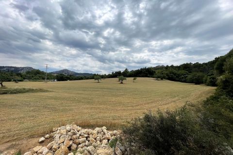 Grond in Pollenca, Mallorca, Pollenca - € 2.000.000 | Ref: 77161 - foto 4