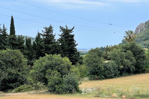 Grond in Pollenca, Mallorca, Pollenca - € 2.000.000 | Ref: 77161 - foto 5