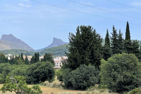 Grond in Pollenca, Mallorca, Pollenca - € 2.000.000 | Ref: 77161 - foto 6