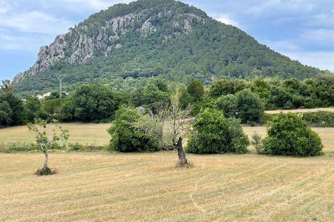 Grond in Pollenca, Mallorca, Pollenca - € 2.000.000 | Ref: 77161 - foto 7