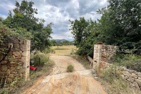 Grond in Pollenca, Mallorca, Pollenca - € 2.000.000 | Ref: 77161 - foto 8