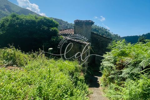 Villa a Seravezza, Lucca, Seravezza - € 250.000 | Ref: 1925 - foto 8