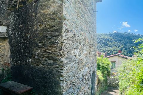 Villa a Seravezza, Lucca, Seravezza - € 250.000 | Ref: 1925 - foto 14