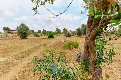 Terra a Racale, Lecce, Racale - € 360.000 | Ref: RAIL-T.ED.-360 - foto 3