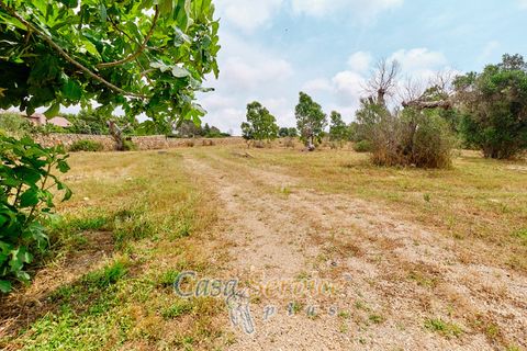 Terra a Racale, Lecce, Racale - € 360.000 | Ref: RAIL-T.ED.-360 - foto 4