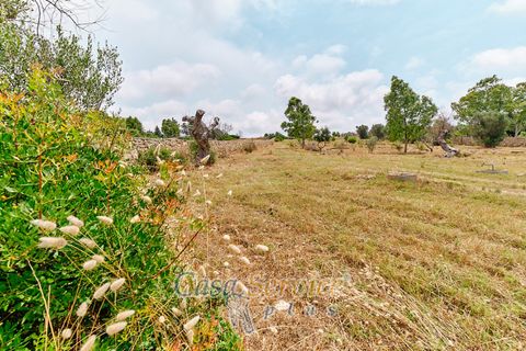 Terra a Racale, Lecce, Racale - € 360.000 | Ref: RAIL-T.ED.-360 - foto 5