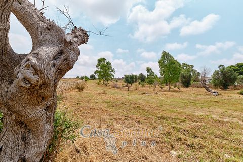 Terra a Racale, Lecce, Racale - € 360.000 | Ref: RAIL-T.ED.-360 - foto 6