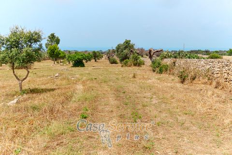 Terra a Racale, Lecce, Racale - € 360.000 | Ref: RAIL-T.ED.-360 - foto 7