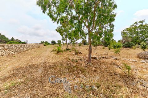 Terra a Racale, Lecce, Racale - € 360.000 | Ref: RAIL-T.ED.-360 - foto 8