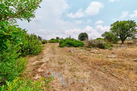 Terra a Racale, Lecce, Racale - € 360.000 | Ref: RAIL-T.ED.-360 - foto 9