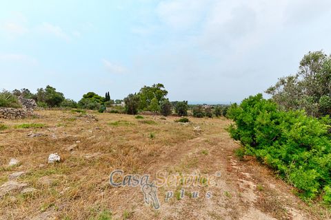 Terra a Racale, Lecce, Racale - € 360.000 | Ref: RAIL-T.ED.-360 - foto 10