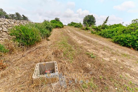 Terra a Racale, Lecce, Racale - € 360.000 | Ref: RAIL-T.ED.-360 - foto 11