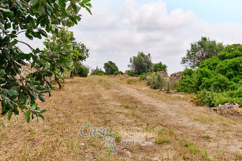 Terra a Racale, Lecce, Racale - € 360.000 | Ref: RAIL-T.ED.-360 - foto 12