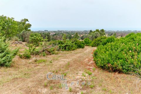 Terra a Racale, Lecce, Racale - € 360.000 | Ref: RAIL-T.ED.-360 - foto 13
